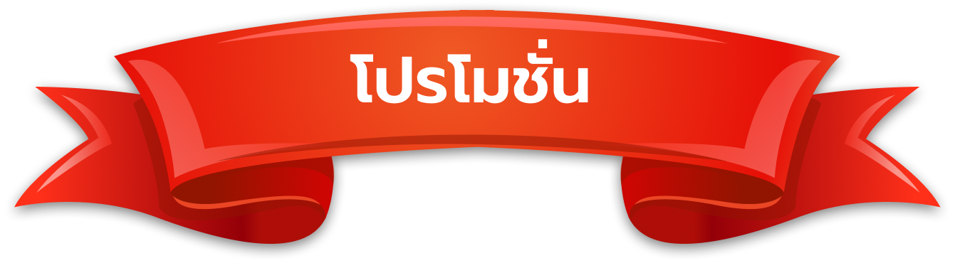 โปรโมชั่นประประจำเว็บไซต์
